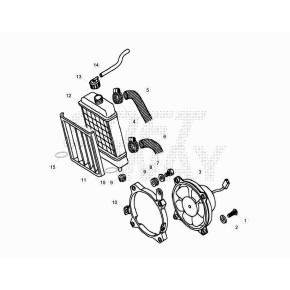 GRIGLIA RADIATORE REV /80 NERA - 16.45538.159