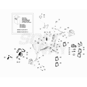 STAFFA PINZA FRENO ANT. RR4T LC - 021.36.037.00.00