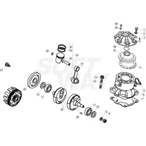 ALBERO MOTORE EVO - 007.02.085.80.00