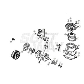CILINDRO D.79 EVO 2T - 007.11.001.00.00