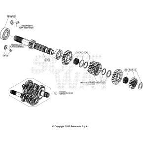 ANELLO D'ARRESTO SW 22X1,2 - C01.31.005.00.00