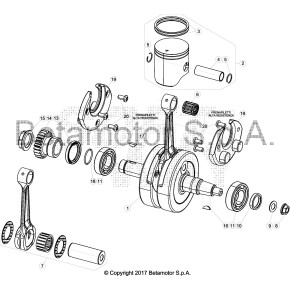 PISTONE MOTORE D54 - 035.02.019.80.0C