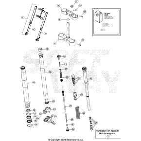 TESTATA FORCELLA D.48 RR 2T - 026.34.002.00.59